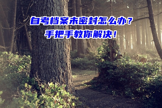 自考档案未密封怎么办？手把手教你解决！