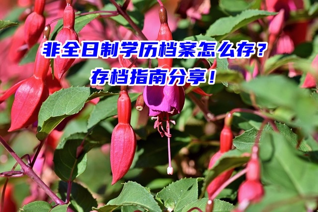 非全日制学历档案怎么存？存档指南分享！