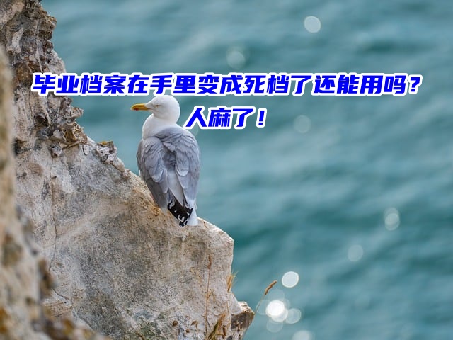 毕业档案在手里变成死档了还能用吗？人麻了！