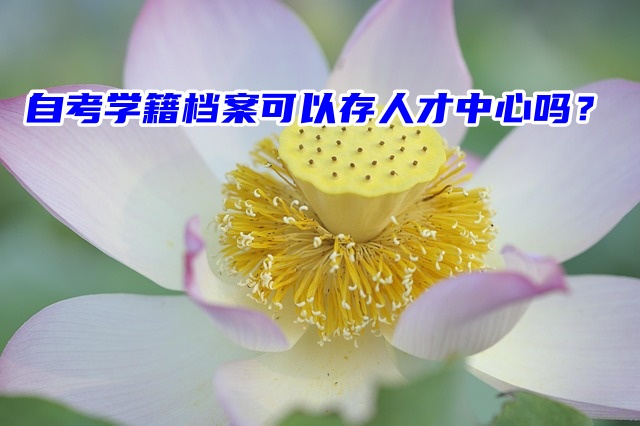 99％自考生都关心的问题：自考学籍档案可以存人才中心吗？