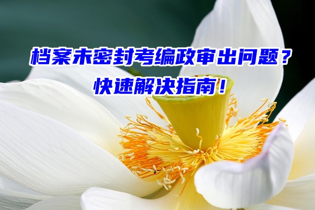 档案未密封考编政审出问题？快速解决指南！
