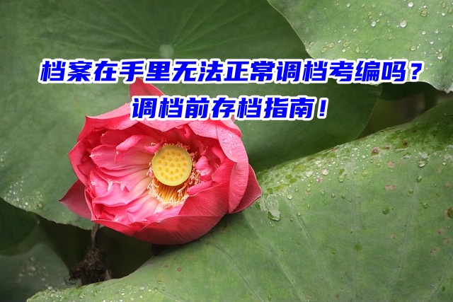 档案在手里无法正常调档考编吗？调档前存档指南！