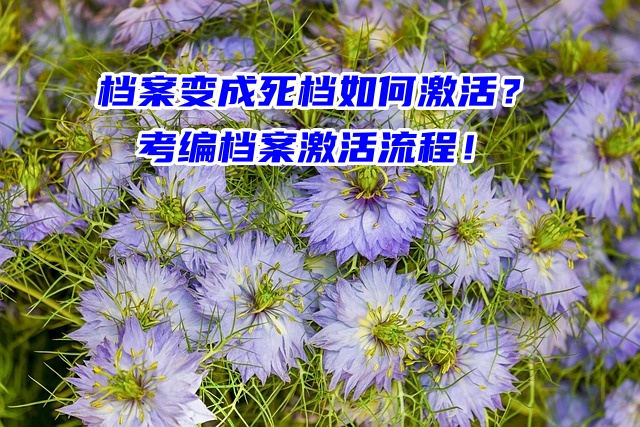 档案变成死档如何激活？考编档案激活流程赶紧看！