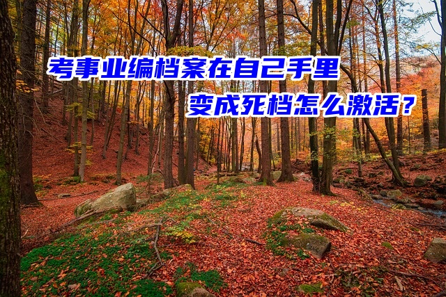 考事业编档案在自己手里变成死档怎么激活？