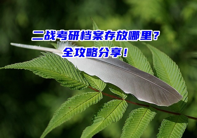 二战考研档案存放哪里？全攻略分享！