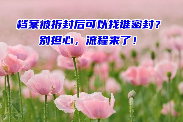 档案被拆封后可以找谁密封？别担心，流程来了！