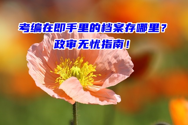 考编在即手里的档案存哪里？政审无忧指南！
