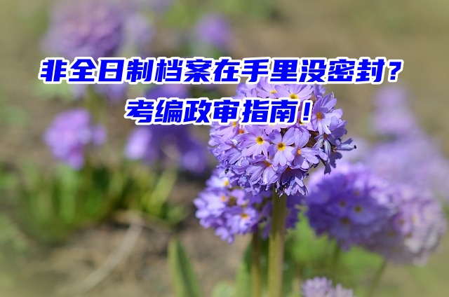 非全日制档案在手里没密封？考编政审指南必须看！