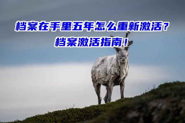 档案在手里五年怎么重新激活？档案激活指南！