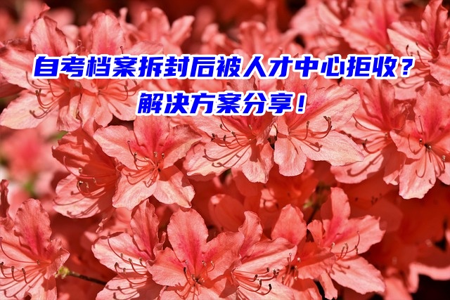 自考档案拆封后被人才中心拒收？解决方案分享！