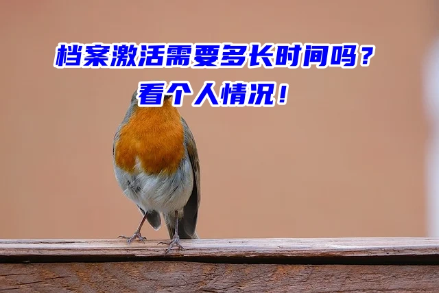 档案激活需要多长时间吗？看个人情况！