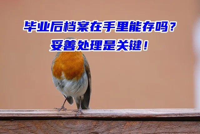 毕业后档案在手里能存吗？妥善处理是关键！