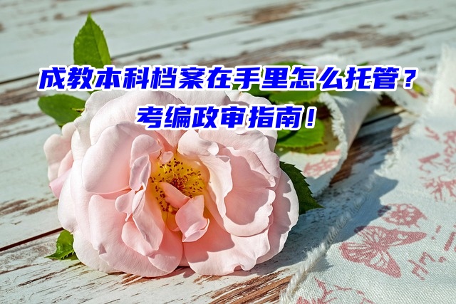 成教本科档案在手里怎么托管？考编政审指南！