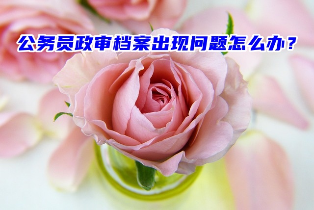 公务员政审档案出现问题怎么办？