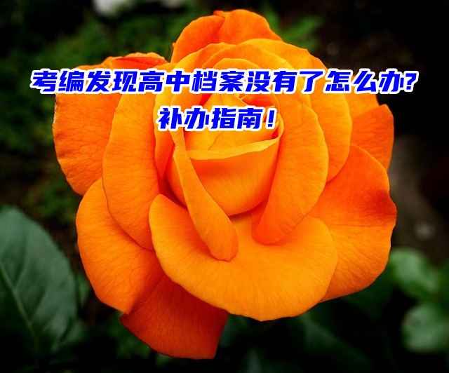 考编发现高中档案没有了怎么办?补办指南！