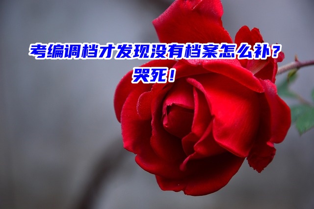 考编调档才发现没有档案怎么补？哭死！