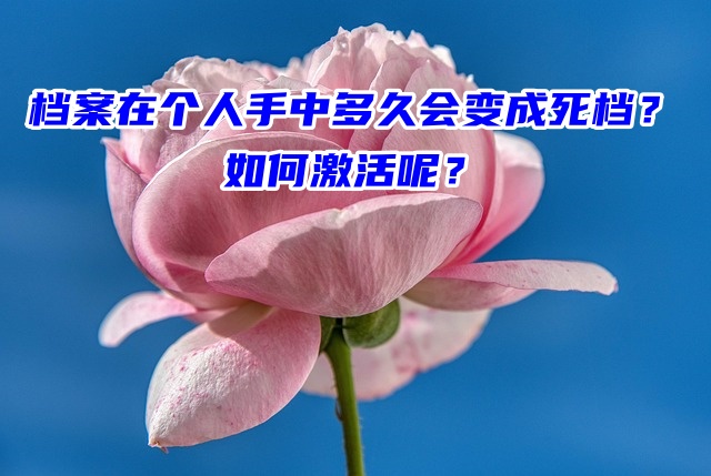 档案在个人手中多久会变成死档？如何激活呢？