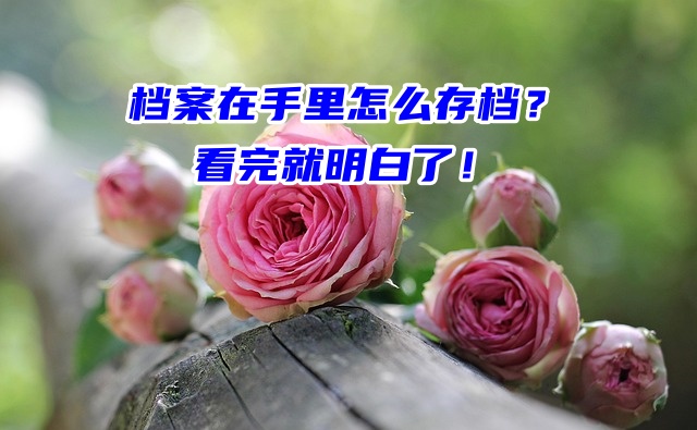 档案在手里怎么存档？看完就明白了！