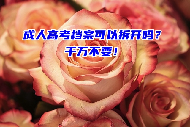 成人高考档案可以拆开吗？千万不要！