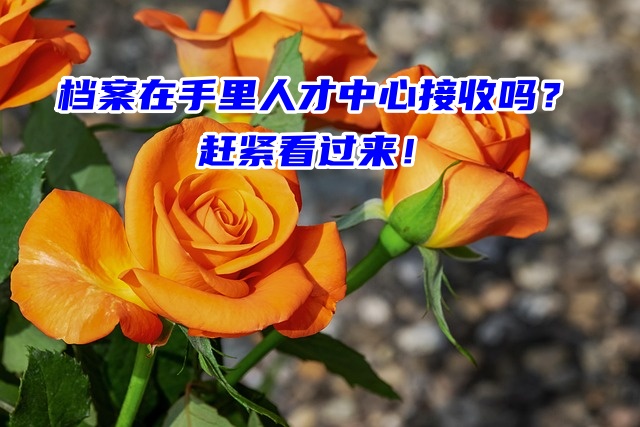 档案在手里人才中心接收吗？赶紧看过来！