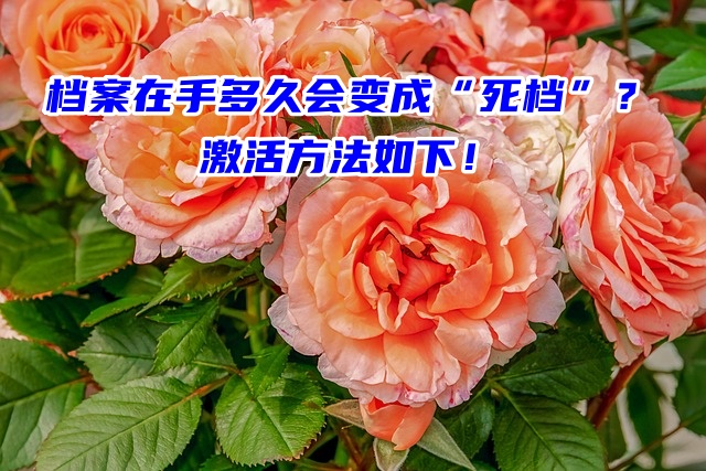 档案在手多久会变成“死档”？激活方法如下！