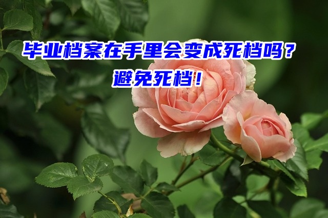 毕业档案在手里会变成死档吗？避免死档！