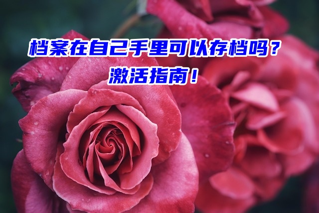 档案在自己手里可以存档吗？激活指南！