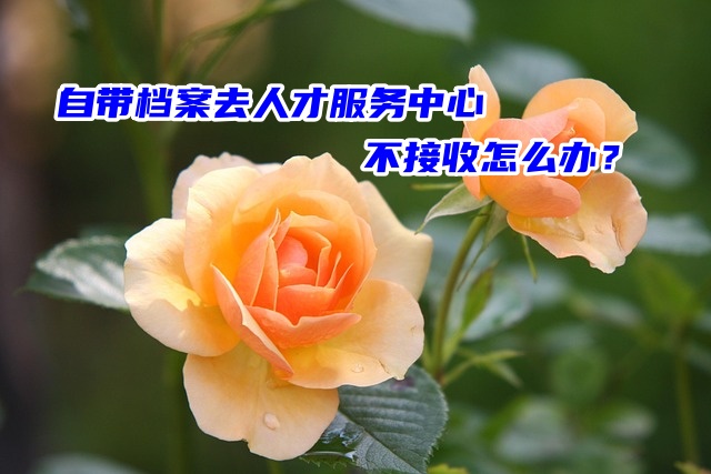 自带档案去人才服务中心不接收怎么办？