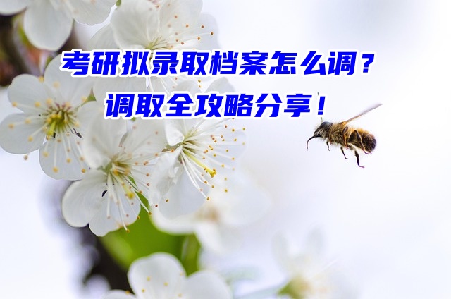 考研拟录取档案怎么调？调取全攻略分享！