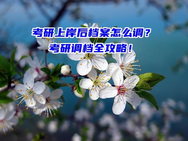 考研上岸后档案怎么调？考研调档全攻略！