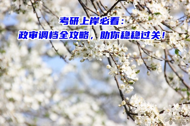 考研上岸必看：政审调档全攻略，助你稳稳过关！