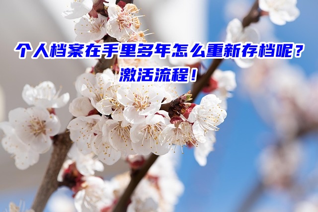 个人档案在手里多年怎么重新存档呢？激活流程！