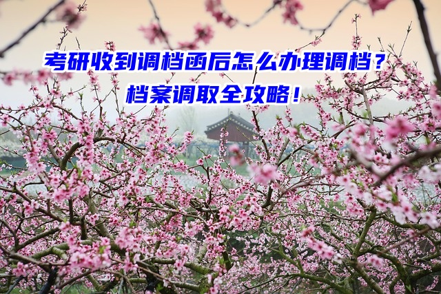 考研收到调档函后怎么办理调档？档案调取全攻略！