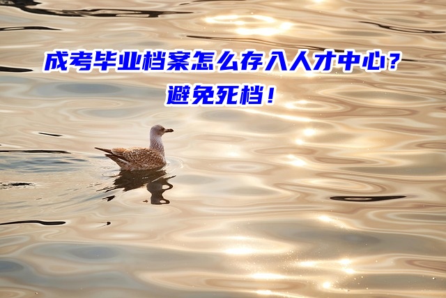 成考毕业档案怎么存入人才中心？避免死档！