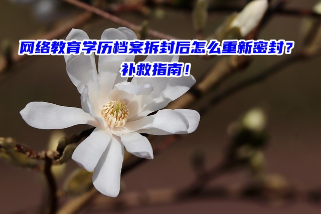 网络教育学历档案拆封后怎么重新密封？补救指南！