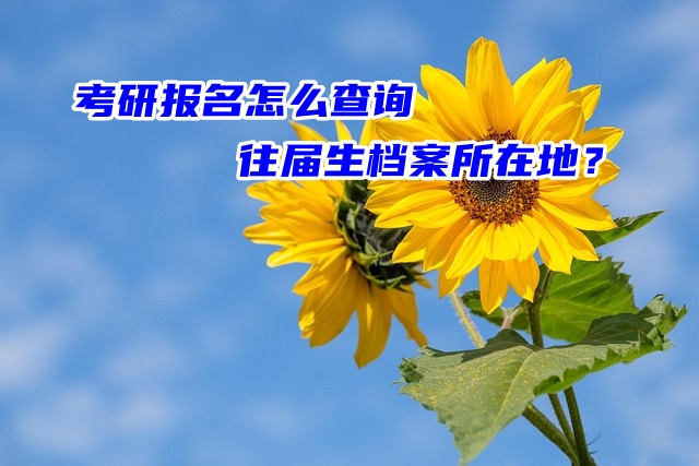 考研报名怎么查询往届生档案所在地？