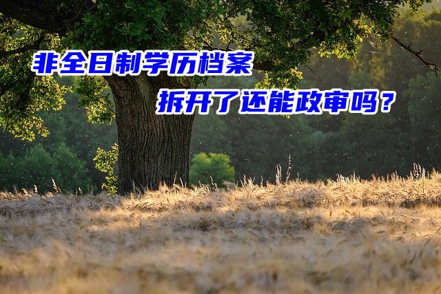 非全日制学历档案拆开了还能参加政审吗？