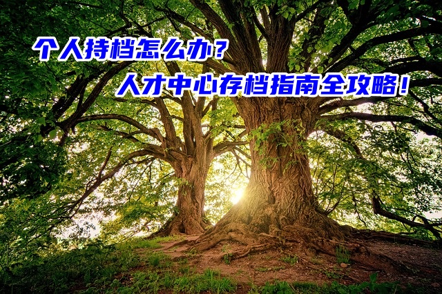 个人持档怎么办？人才中心存档指南全攻略！