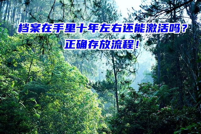 档案在手里十年左右还能激活吗？正确存放流程！