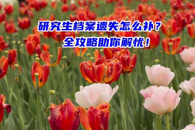 研究生档案遗失怎么补？全攻略助你解忧！