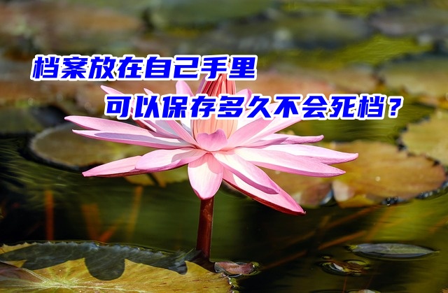 档案放在自己手里可以保存多久不会死档？