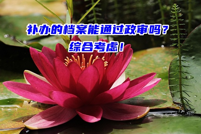 补办的档案能通过政审吗？综合考虑！