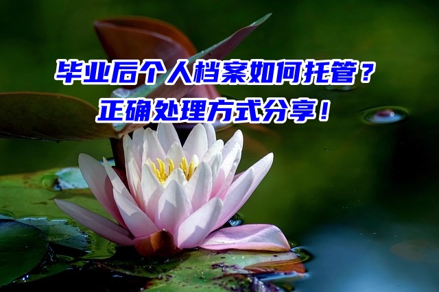 毕业后个人档案如何托管？正确处理方式分享！
