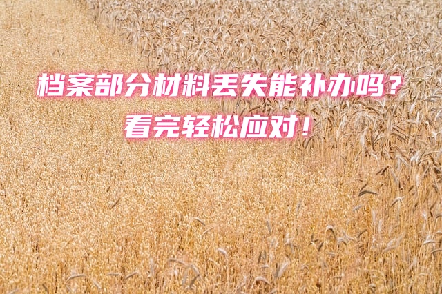 档案部分材料丢失能补办吗？看完轻松应对！