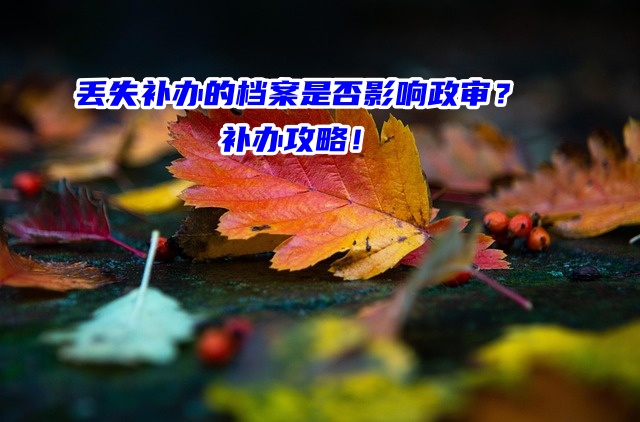 丢失补办的档案是否影响政审？补办攻略！