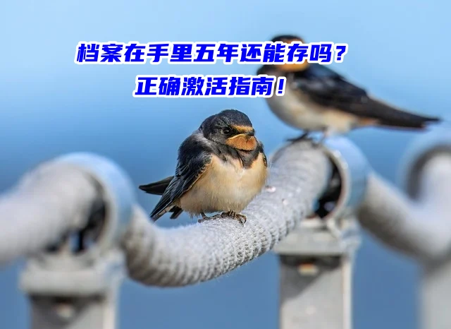 档案在手里五年还能存吗？别慌！正确激活指南！