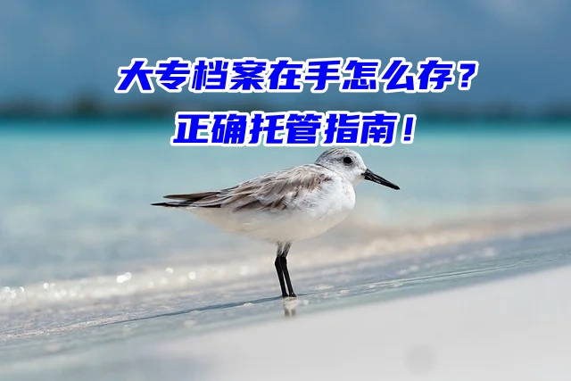 大专档案在手怎么存？正确托管指南！