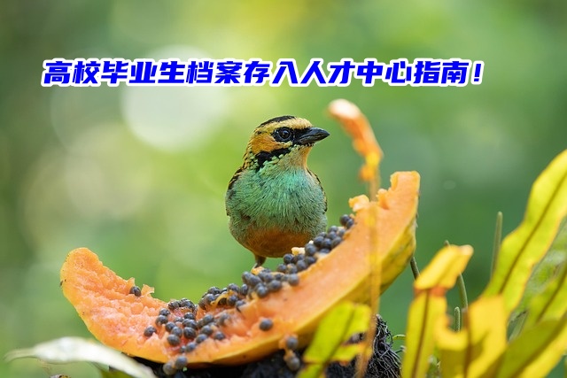 高校毕业生档案存入人才中心指南！