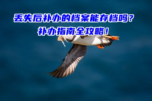 丢失后补办的档案能存档吗？补办指南全攻略！