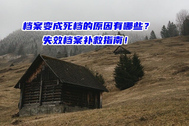 档案变成死档的原因有哪些？失效档案补救指南！